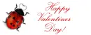 Happy Valentine's Day!