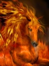 horse