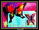 Butterfly Legend