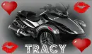 tracy spider