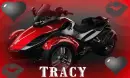tracy spider
