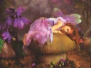 Sleepin Fairy