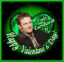 Dale Earnhardt Jr