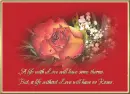 rose