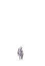 orochimaru
