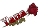 Yana red rose