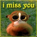 miss you