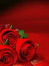 Thank you my friend