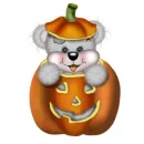 CREDDY BEAR- PUMKIN 