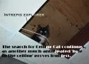 Search for Ceiling Cat