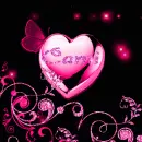 Cami