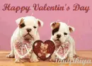 happy valentine day