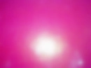 PINKpinkPINK