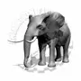 elephant