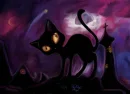 Black Cat