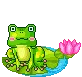 frogs