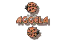 orange traveling ladybugs aggela