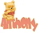 baby winnie pooh anthony