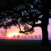 Twilight