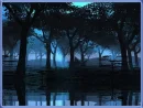 blue moon