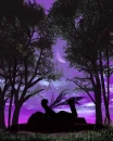 purple sky