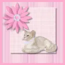 kitty