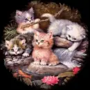 kittens