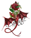 Red Dragon with Rose Connie
