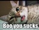 Boo you sucks