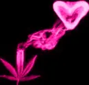 PINK WEED