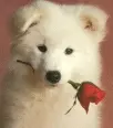 cute