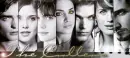 The Vampire Clan