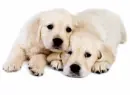 Together Forever