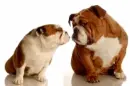 hot kiss