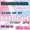 muscles