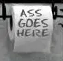 toilet paper