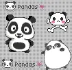 My Panda Picture 
