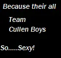 Team Cullen