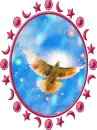 dove for peace