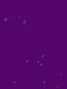 bubbles
