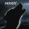 Moony, Wormtail, Padfoot and Prongs 