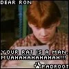 Your rat is a man!