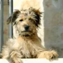 cute