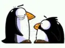 Kissing Penguins