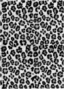 white leopard