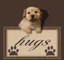 hugs