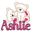 Polar Bears- Ashlie