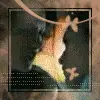 Sweet Kiss