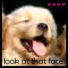 look at that face