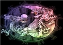 dragon-tiger